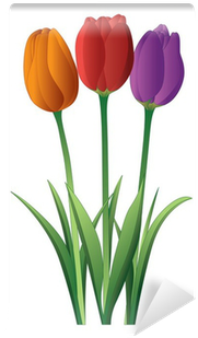 Tulip (400x400)