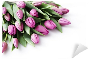 Tulip (400x400)