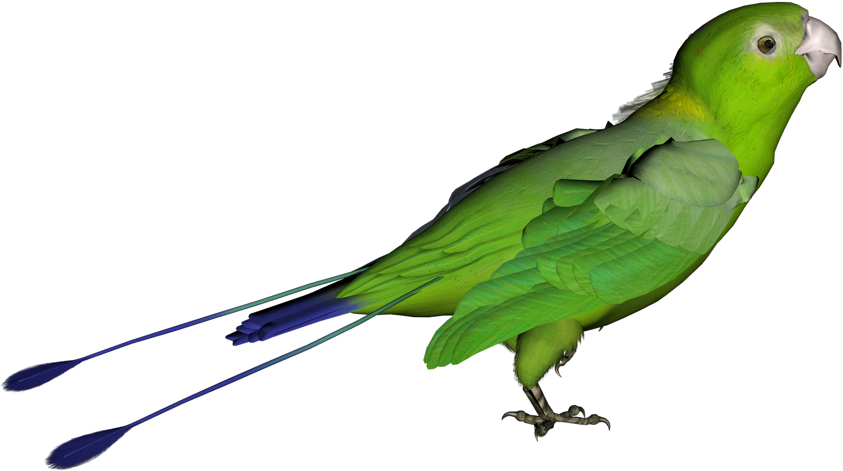 Parrot - Green Parrot Transparent Background (1835x1071)