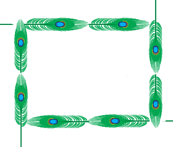 Peacock Clipart Border - Feather Borders Clipart (600x513)