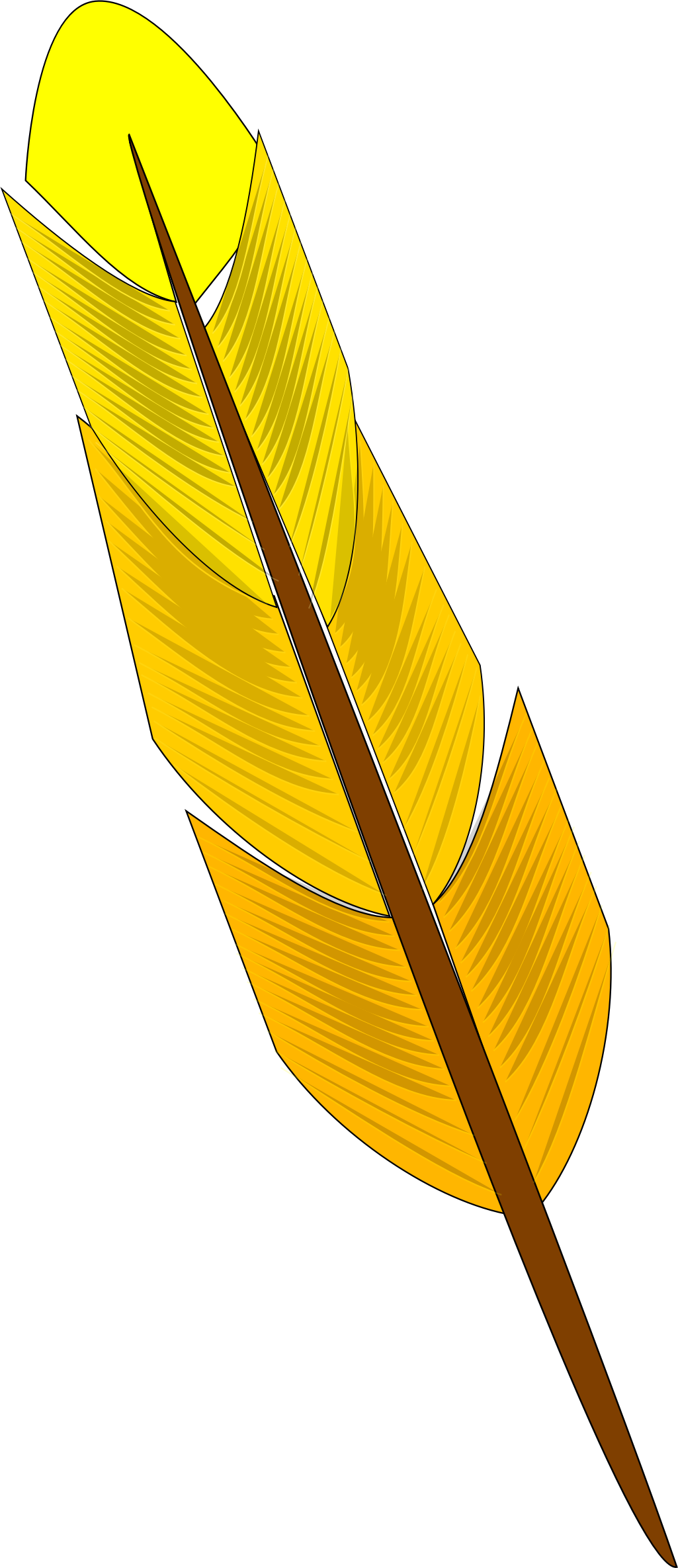 Feather Clipart Orange - Yellow Feather (1025x2370)