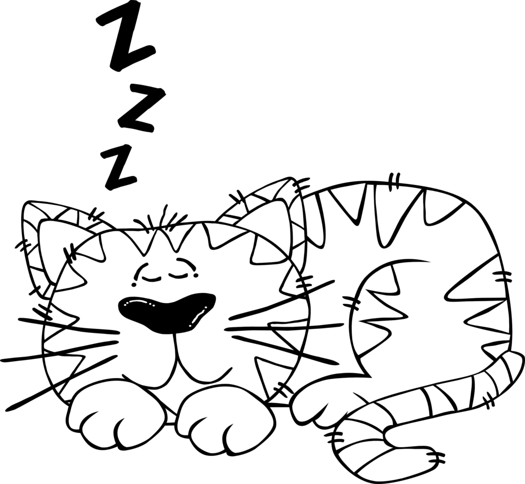 Animals - Cartoon Cat (1024x945)