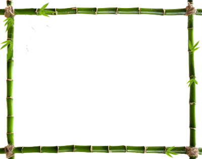 Frame-4002 - Flower Border With White Background (400x315)