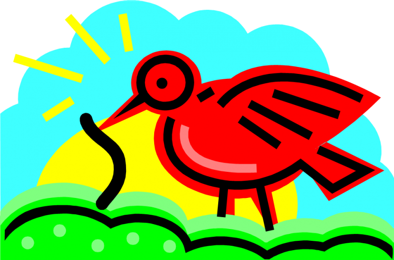 Does The Early Bird Get The Worm - Ṭa (800x528)