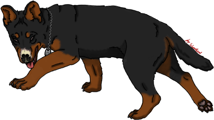 War Wolf - Dog Catches Something (750x425)
