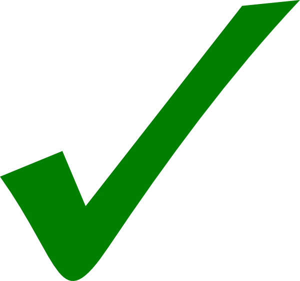 Green Check Mark Transparent (600x562)