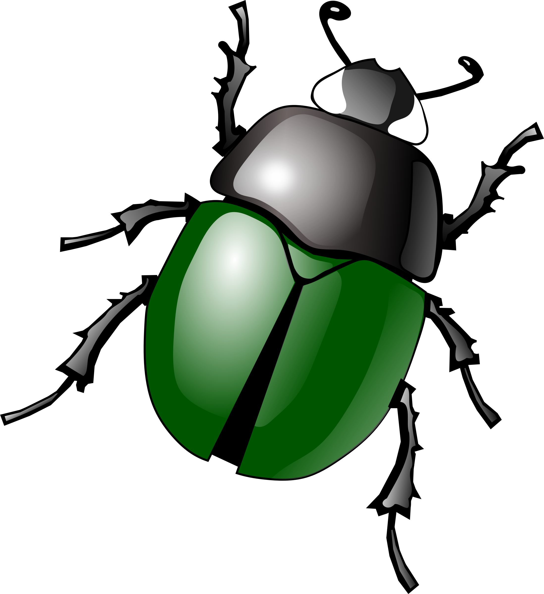 Bug - Clipart - Beetle Clipart (2198x2400)