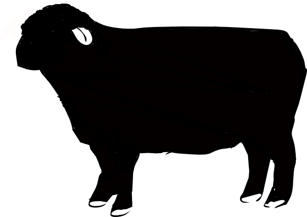 Sheep Black Clip Art (600x425)