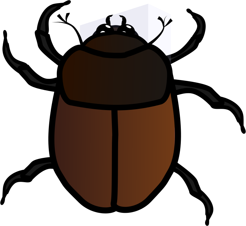 Junebug Clipart (800x737)