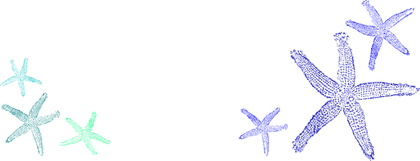 Starfish Borders Clipart - Beach (600x231)