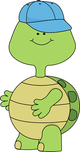 Boy Turtle - Turtle With A Cap (265x500)