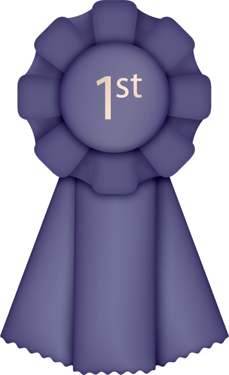 Album - 2nd Place (782x1280)