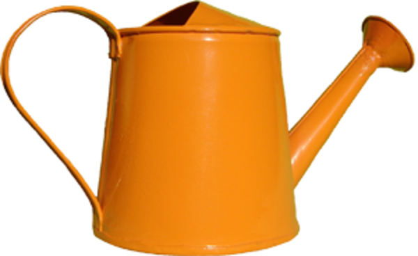 Water Pot For Flowers (600x368)