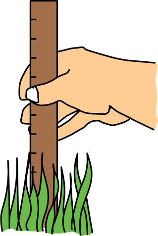 Leave Your Grass Long - Lawn (319x477)