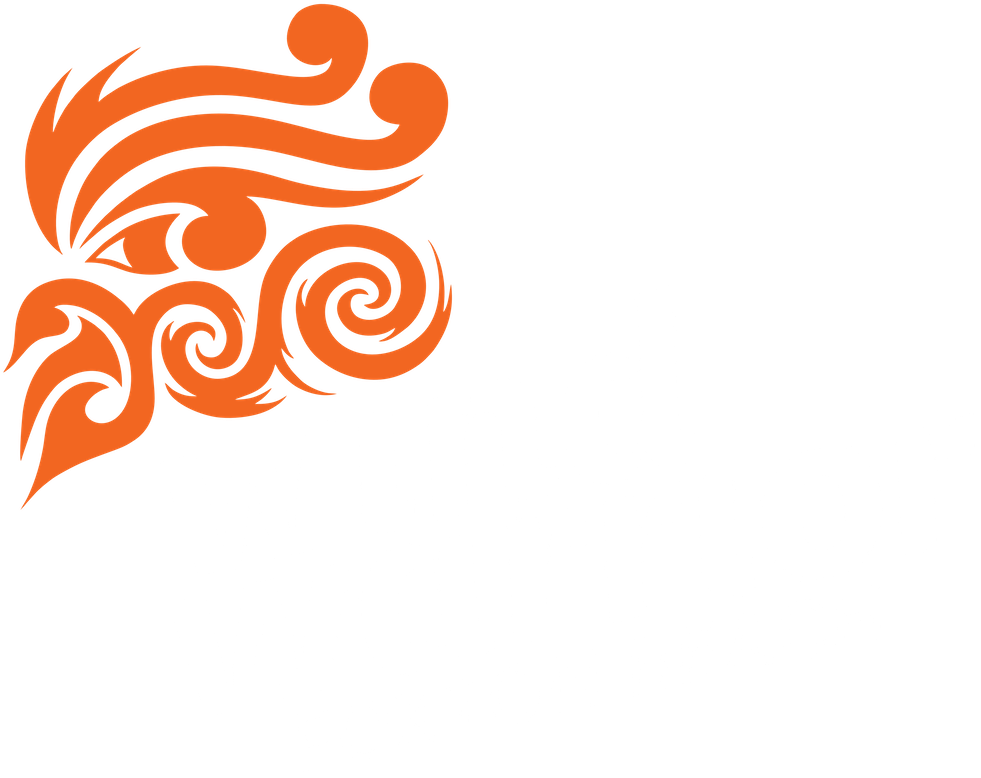 Wind Warrior Foxton Beach - Wind Warrior Kite & Sup (1000x833)