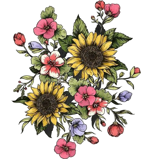 Doodles - Sunflowers And Roses Drawing (500x649)