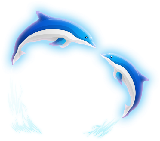 Dolphin Heart-shaped Pattern - Dolphin Heart-shaped Pattern (615x496)