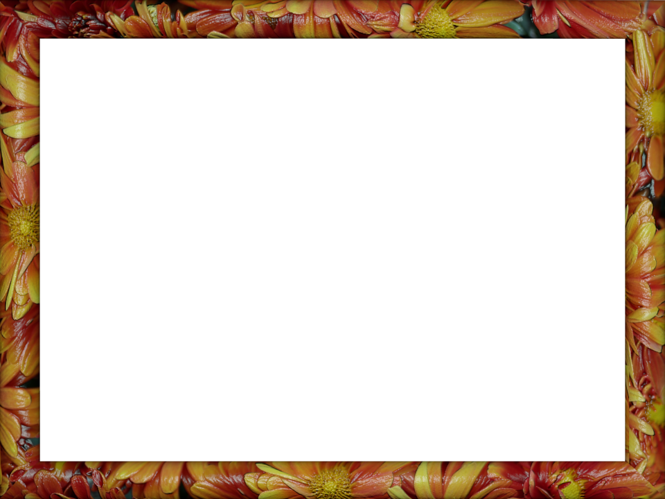 Thai Frame Png (960x720)