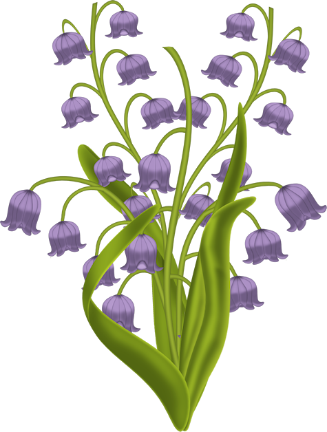 Muguet Violet (475x628)