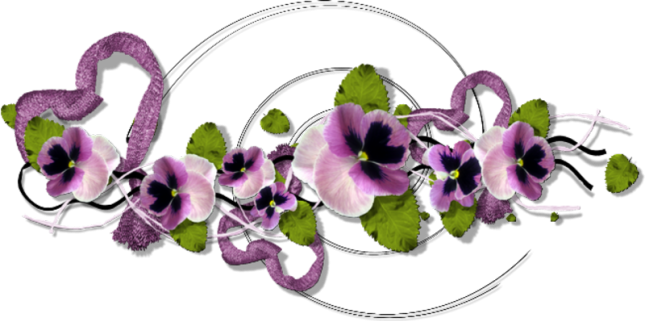 Barre Séparation - Pansy (645x321)