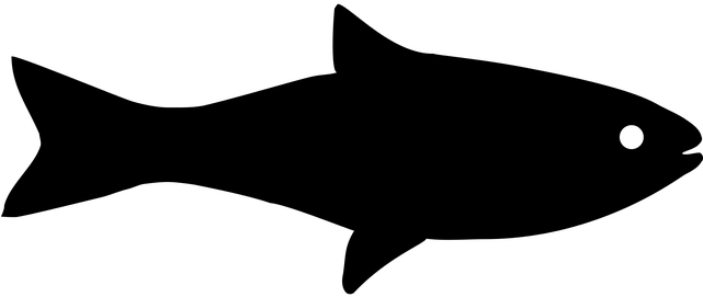 Fish Icon (640x320)