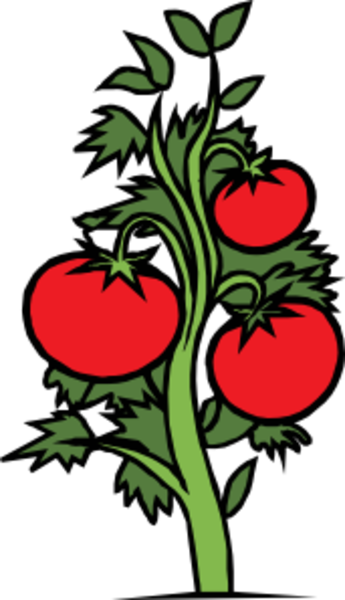 Plants Clipart (345x600)