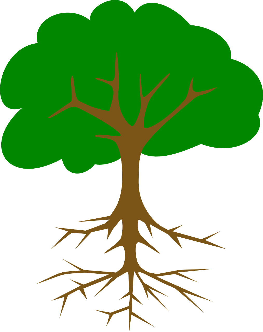 Tree Clip Art (1013x1280)