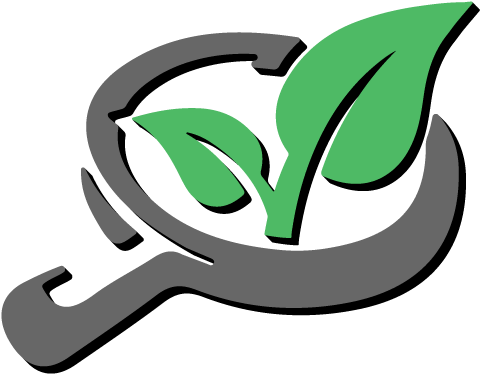 Plants (500x389)