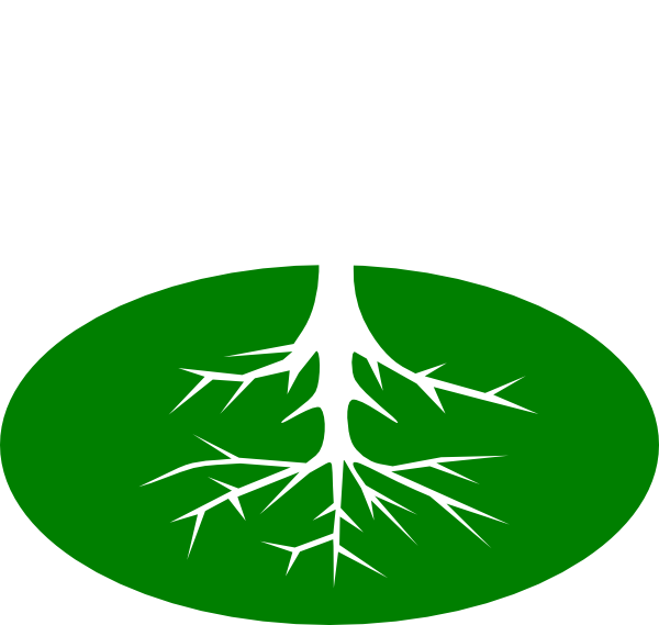 Roots Cliparts (600x569)
