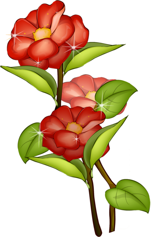 Album - Flower (508x800)