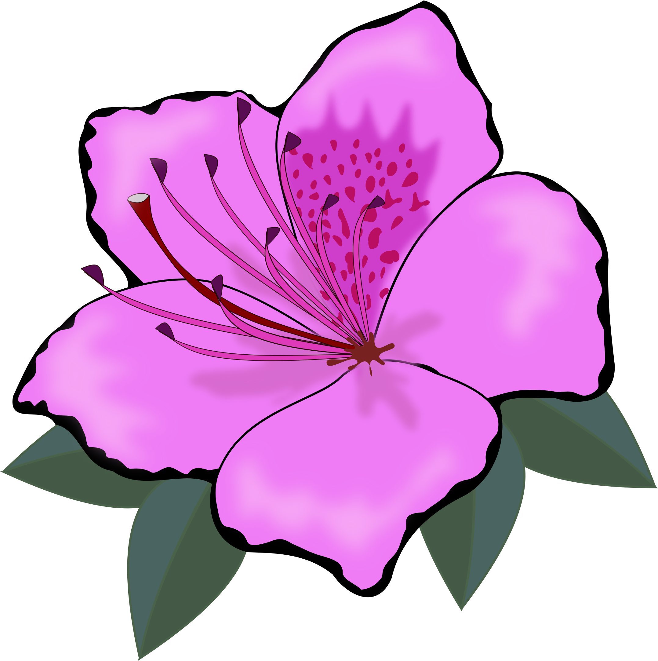 Flower - Flower (2400x2400)