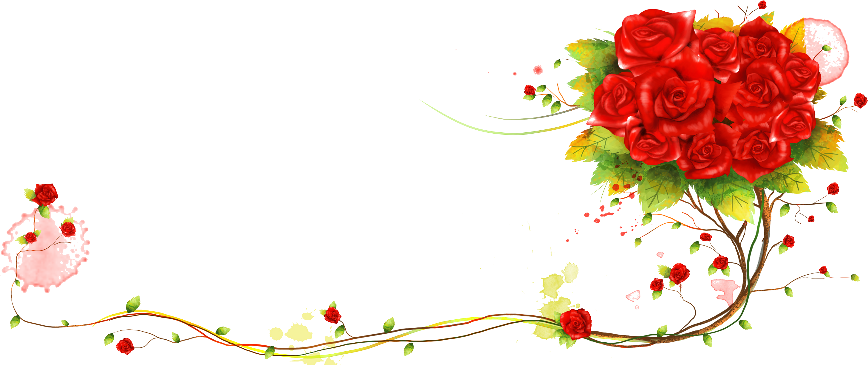 Beach Rose Flower - Rose (3000x1273)