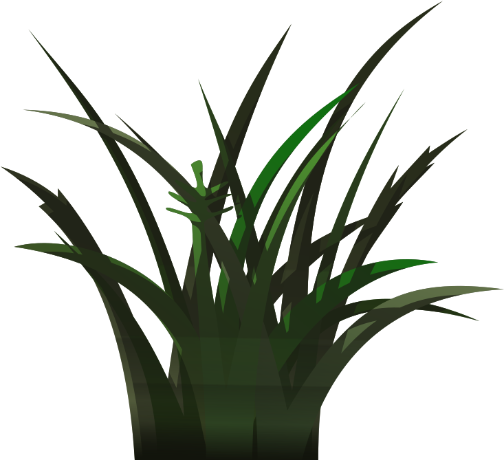 Vegetation Clipart (800x800)
