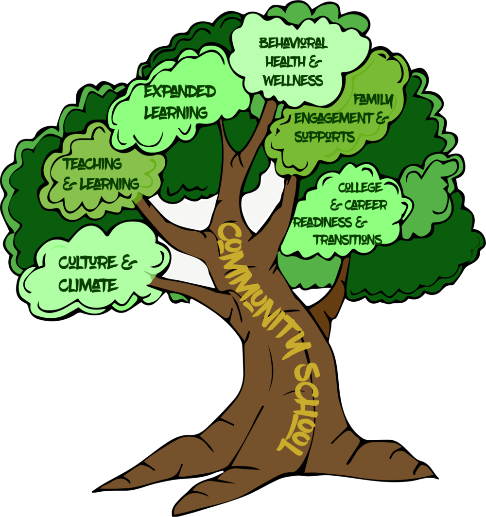 Bayview Beacon Resource Guide Tree Matrix 2017 - Bayview Beacon Resource Guide Tree Matrix 2017 (1000x1064)