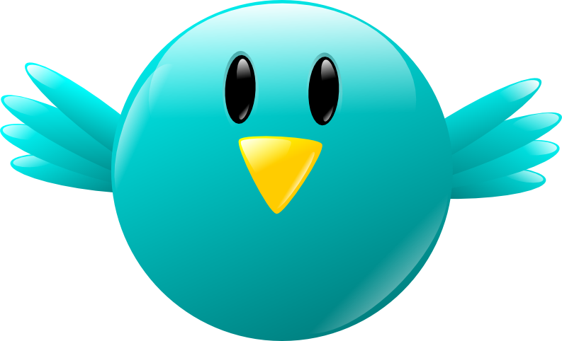 Twitter Icon - Twitter Icon (793x482)
