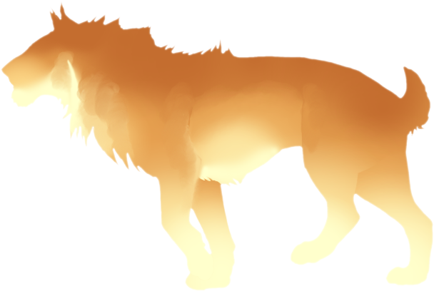 Finnish Spitz (640x500)