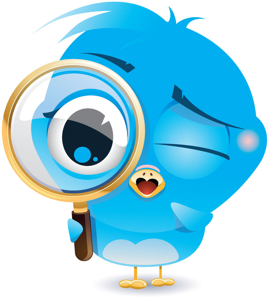 Birds Eye Clipart (1078x1193)