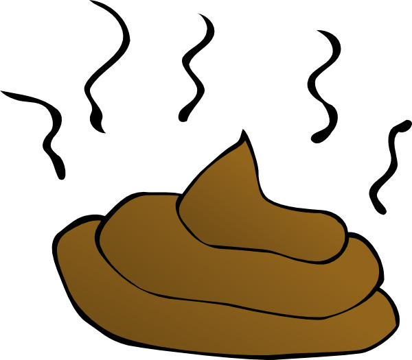 Feces (600x525)