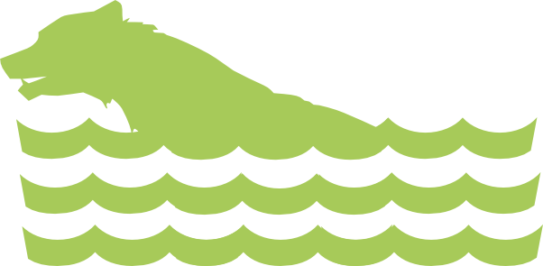 Camp Services - Camp Services (602x295)
