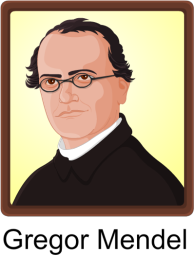 Gregor Mendel (420x547)