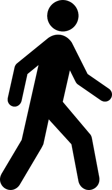 Walking Icon (426x720)