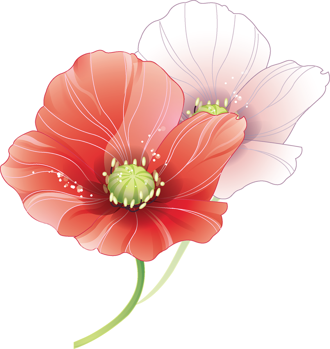 Tubes Fleurs - Wedding Vector (1135x1200)