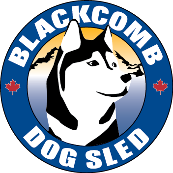 Seppala Siberian Sleddog (352x352)