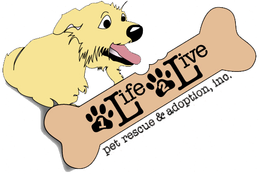 Pet (506x339)
