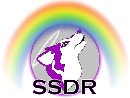 Rainbow Bridge - Sled Dog (434x326)