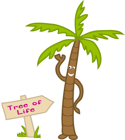 Coconut Palm Tree - Coconut Palm Tree (402x451)