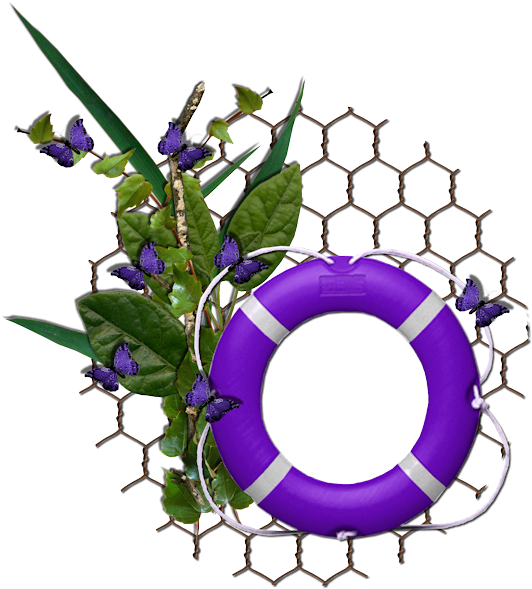 Frames, Frame, Rahmen, Quadro, Png - Iris (600x600)