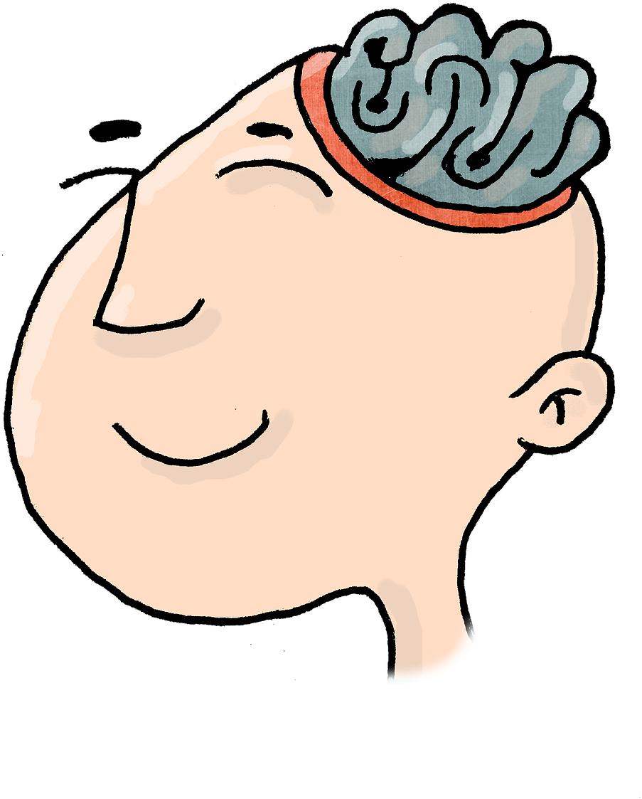 Brain (960x1280)