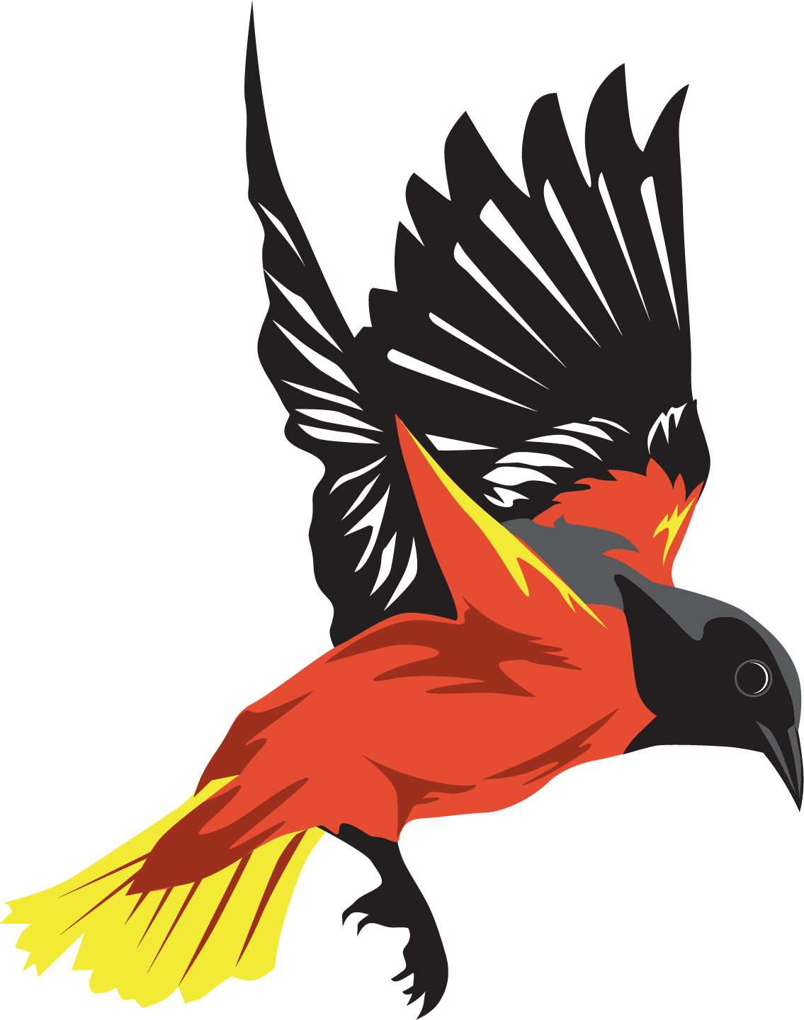 Bird Flight Bird Flight Wing - Bird Flight Bird Flight Wing (1135x1440)