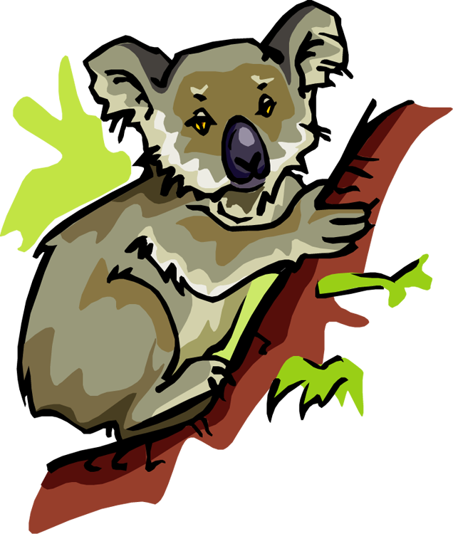 Koala (636x750)